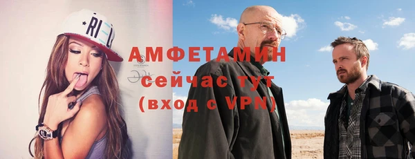 шишки Алексин