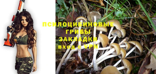герыч Алексеевка