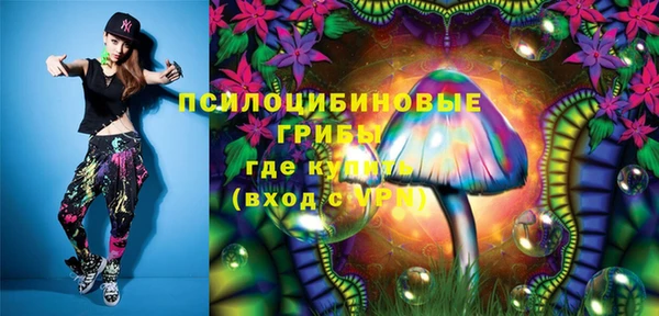 шишки Алексин