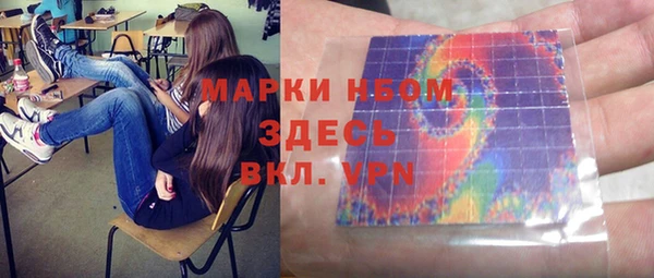 шишки Алексин